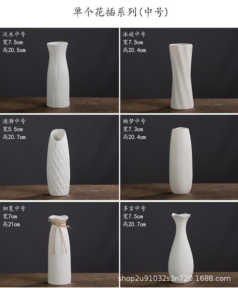 花瓶大白_10.jpg