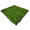 Césped Artificial Verde Musgo Césped Artificial Pared de Plantas Ventana Micro Paisaje Decoración Bonsái Césped Flocado Musgo