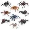 Conjunto de 9 Peças de Figuras de Aranha Realistas PVC Tarântula Aranha Funil Modelos Figuras de Insetos Assustadores para Crianças Brinquedos Educativos Decorações de Halloween Cre