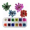 Joyería para uñas al por mayor encaje natural flor seca narcisos calcomanías de flor seca calcomanías de henna 12 colores sin impuestos