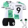 Uniforme de fútbol Liverpool visitante blanco 11 Salah 9 Núñez 10 Maca 7 Días, venta al por mayor, 2324