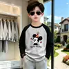 Camiseta de Manga Longa Color Block Algodão Puro Estilo de Rua para Meninos Início da Primavera Estilo Coreano Meninos Tamanhos Médio e Grande Infantis Casual Versátil Manga Raglan Camiseta Básica