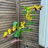 Cenário de Flores Artificiais Layout Amor-perfeito Artificial Transfronteiriço Amazon Phalaenopsis Flor Artificial Flor de Casamento Flor de Seda