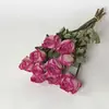 Flores Secas de Yunnan Rosas Decoración Literaria para el Hogar Flores Fondo para Disparos Floral DIY Hogar Flores Reales Flores Secas Venta al por Mayor