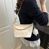 Bolso Pequeño de Moda para Mujer 2025 Nuevo Cadena Elegante Nicho Bandolera Popular Texical Hombro Axila Cubo