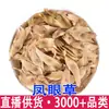 Hierba Ojo de Fénix al por mayor, Campanas de Árbol Malolientes, Campanas de Árbol Malolientes, Campanas de Primavera, Gran Cantidad de Árboles Catalpa, Precio Favorable