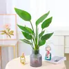 Plantas hidropónicas de Ave del Paraíso, flores para la sala de estar, plantas en maceta de rábano verde, plantas hidropónicas de Diamante Dorado, bambú de la suerte, monstera, plantas verdes fáciles de cuidar