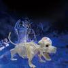 Adereços de Halloween Esqueleto de Cachorro Removível Fofo Simulação Decoração de Pátio TEMU Adereços Transfronteiriços