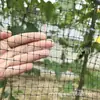 Venta Directa de Fábrica Malla Cuadrada de PP Anti-Envejecimiento Malla Anti-Pájaros Red de Protección para Frutas y Verduras de Huerto Malla Bloqueadora de Pájaros para Frutas de Uva Cereza