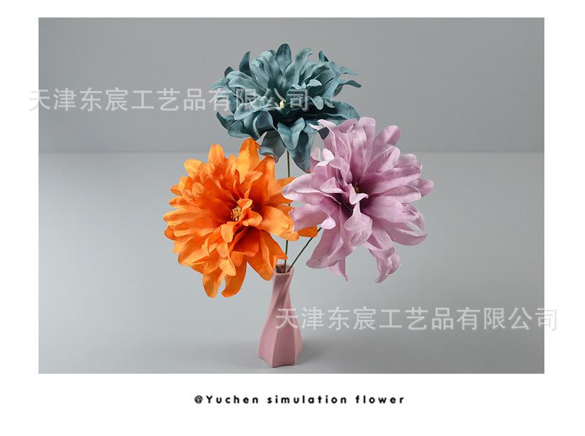 详情_14.jpg