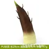 Venta al por mayor directa de fábrica de todo tipo de verduras de tacto de alta simulación PU verduras falsas PU simulación pepino col