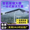 Exposición de Plántulas de Verduras en Invernadero de Cristal, Visita a Invernadero, Invernadero con Estructura de Tubo de Acero, Invernadero Inteligente de Cristal Multicapital