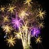 Luces de Árbol de Fuegos Artificiales LED al por Mayor Césped Exterior Centro Comercial Espectáculo de Luces Parque Luces de Cadena de Estrellas Proyecto de Iluminación Luces Decorativas