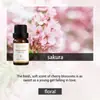 Aceites Esenciales de Aromaterapia Solubles en Aceite de Amazon, Máquina de Aromaterapia de Dos Fluidos, Velas de Uso Único, Aceites Esenciales Compuestos para DIY, Todo en Inglés
