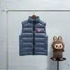 Colete de Algodão Brilhante Big Goose Transfronteiriço Masculino Outono e Inverno Gola Alta Espessado Quente Sem Mangas para Usar por Cima