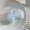 Pinza para el pelo de gran volumen de 15 cm para mujer, nuevo modelo 2026, sensación de alta gama, pinza para el pelo de la parte trasera de la cabeza, pinza de tiburón, accesorio para el pelo