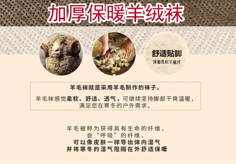 模版1