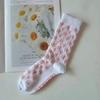 Calcetines delgados de primavera y verano, calcetines de moda ins de Corea del Sur, calcetines NY, calcetines para hombre y mujer, calcetines deportivos para exteriores, transpirables, absorbentes del sudor, calcetines casuales de algodón