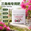 Bougainvillea Fertilizante Composto Sanyuan Genuíno Fertilizante Nitrogenado Fosfatado Uso Geral Flores Domésticas Rosas de Vaso Granulado Especial