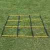 Escalera de agilidad multifuncional, cuerda de entrenamiento físico plegable, escalera blanda de nueve cuadros para entrenamiento de fútbol y baloncesto