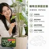 Fijador de soporte para plantas para prevenir el colapso de la planta, fijador transparente para tallo de flor, soporte para maceta de flores artificiales, pinza para planta monstera
