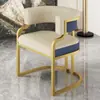 Silla Sofá de Lujo Sencillo para el Hogar Silla de Ocio para Apartamento Pequeño Sala de Estar Sofá Individual Tocador de Dormitorio Silla de Maquillaje