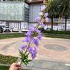 Arreglo floral de fiesta de fantasía rosa y morado, simulación de flores y mariposas, fondo floral a juego, decoración de tienda, flores falsas al por mayor