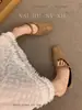 Zapatos de Noche Marrones de Gamuza Suave Estilo Francés para Mujer, Nuevo Modelo Primavera y Otoño 2026, Correa Única con Hebilla, Tacón Grueso, Zapatos Mary Jane de Corte Bajo