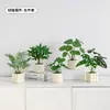 Plantas Verdes Artificiales, Flores Falsas, Flores Artificiales, Plantas Pequeñas de Escritorio en Maceta, Adornos Decorativos, Estanterías, Plantas Verdes Artificiales, Accesorios de Fotografía
