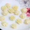 Laca Color Coral Polvo para Tallado Compactado Polvo de Concha Estéreo Flor Prensada Agujero Recto Flor de Rosa con Perlas Accesorios para Joyería DIY