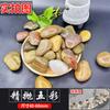 Piedra Yuhua de Nanjing Piedra en Bruto Guijarros Naturales Piedras Pequeñas Acuario Maceta Piedra Decoración de Patio Guijarros para Pavimentar