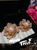 Collar Colgante de Calabaza Doble Mariposa Grabada e Incrustada Tradicional, Aretes Florales en Relieve de Nácar Estilo Chino Nuevo