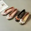 Nova Coleção Outono/Inverno 2026: Sapatos Mary Jane Dourados Femininos com Salto Escondido, Design Único de Concha, Estilo Fashion de Bico Raso, Adequados para o Trabalho e Uso Casual