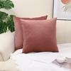 Cross-border Velvet Pillow Lisi Velvet Stitched Pillow Case Simples Solid Color Sofá Pillow Case Home Almofada Case Lote