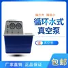 Bomba de Vacío de Circulación de Agua Instrumento Ruipai Henan Prueba Cuatro Bombas Circulación de Agua Shb-Diiia Doble Bomba Anticorrosión