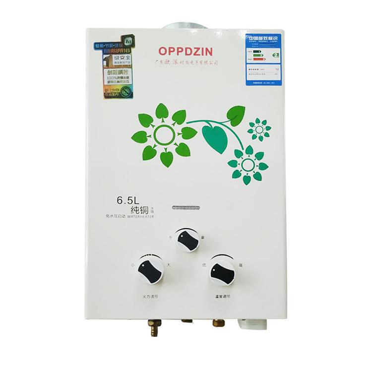 厂家供应环保家居燃气天然气家用强排直排式6.5升燃热水器