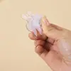 Clip Acrílico de Mariposa Estilo Ins en Stock, Pin de Corazón Girly de PP, Clip de Cola de Golondrina para Exámenes, Pinza para Fotos, Clip de Esquina de Doble Cara