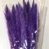 Suministro de fábrica Ramo de flor seca de caña Tanabata Día de San Valentín con flor decoración del hogar flor DIY de Navidad 10 varas