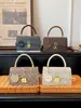 Bolso de Mano Cruzado para Mujer 2026 Otoño Popular Nicho Versátil Retro Bolso de Hombro Bolso para el Trabajo