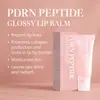 Gloss Labial em Creme com Peptídeo PDRN para Lábios Escuros, Hidratante Leve e Clareador, Cuidado Labial