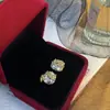 Brincos de Tarraxa Zircônia Espiga de Trigo Levemente Luxuosos Estilo Francês para Mulheres, Design de Nicho Vintage com Sensação de Alto Padrão, Brincos Versáteis para Mulheres