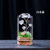 Natural Crystal Gravel Tree Micro Landscape Mine Logo Ornamentos Branco Cristal Ametista Gravel diy Natal Decoração Ornamentos