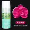 Materiais de Embalagem para Flores, Tinta Spray para Flores Secas, Tinta Spray Cor de Ameixa Preta para Flores, Tinta Spray Floral, Tinta Spray para Flores, Spray de Cor para Flores