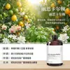 Recarga difusor de fragancia Macau Galaxy estilo vacacional, botella grande de fragancia a base de aceite, aceite esencial para sala de estar y dormitorio