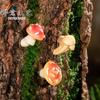 Micropaisaje de musgo, simulación creativa, bosque, seta, bonsái, jardinería, bricolaje, accesorios de paisajismo, pequeños adornos