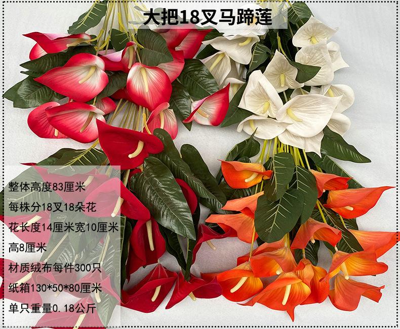 产品信息图-1.大把.jpg