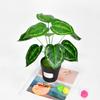 Ins Estilo Nórdico Planta Verde Artificial en Maceta Sensación Hoja Bonsái Flor Artificial Adornos de Decoración para Transfronterizo