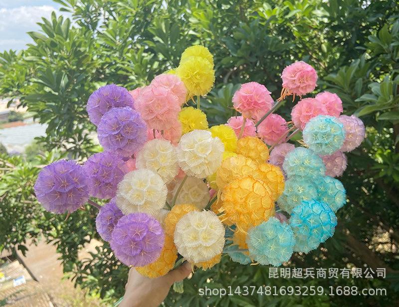 QQ图片20210520115952.jpg