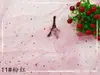 Fio de estrela lantejou médio-duro Fio estrela lua Tecido de malha americana Tecido para embalagem de presente flor Fio para boneca festiva