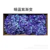 Flores de Hortensia Secas con Degradado Grande Hortensias Conservadas Cabezas de Flores Grandes Color Mixto Multicolor Hortensias Secas Decoración del Hogar Materiales Florales